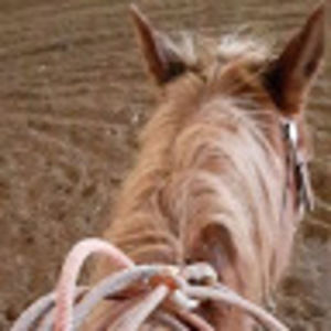 Meet your Posher, Abraham